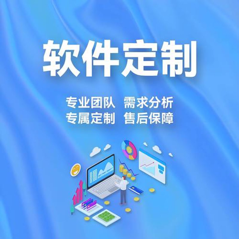 软件定制开发：打造专属解决方案