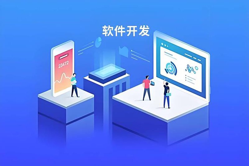 轻松掌握软件定制开发：选购指南