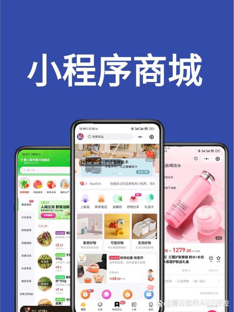 选择海南软件开发服务的全攻略